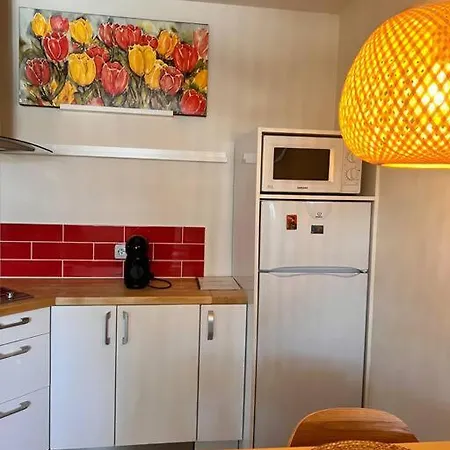 Cozy 1 Bedroom Next To The Gondola * בנסקו