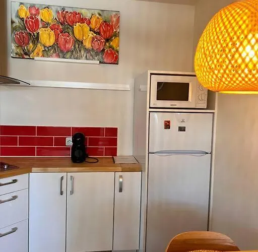 Cozy 1 Bedroom Next To The Gondola * Banszko